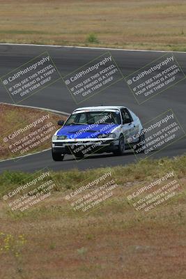 media/May-04-2024-Lucky Dog Racing (Sat) [[d39539b3f3]]/Race Pics/1015am (Turn 2)/